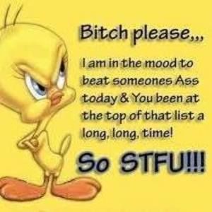 Meet your Posher, Regina